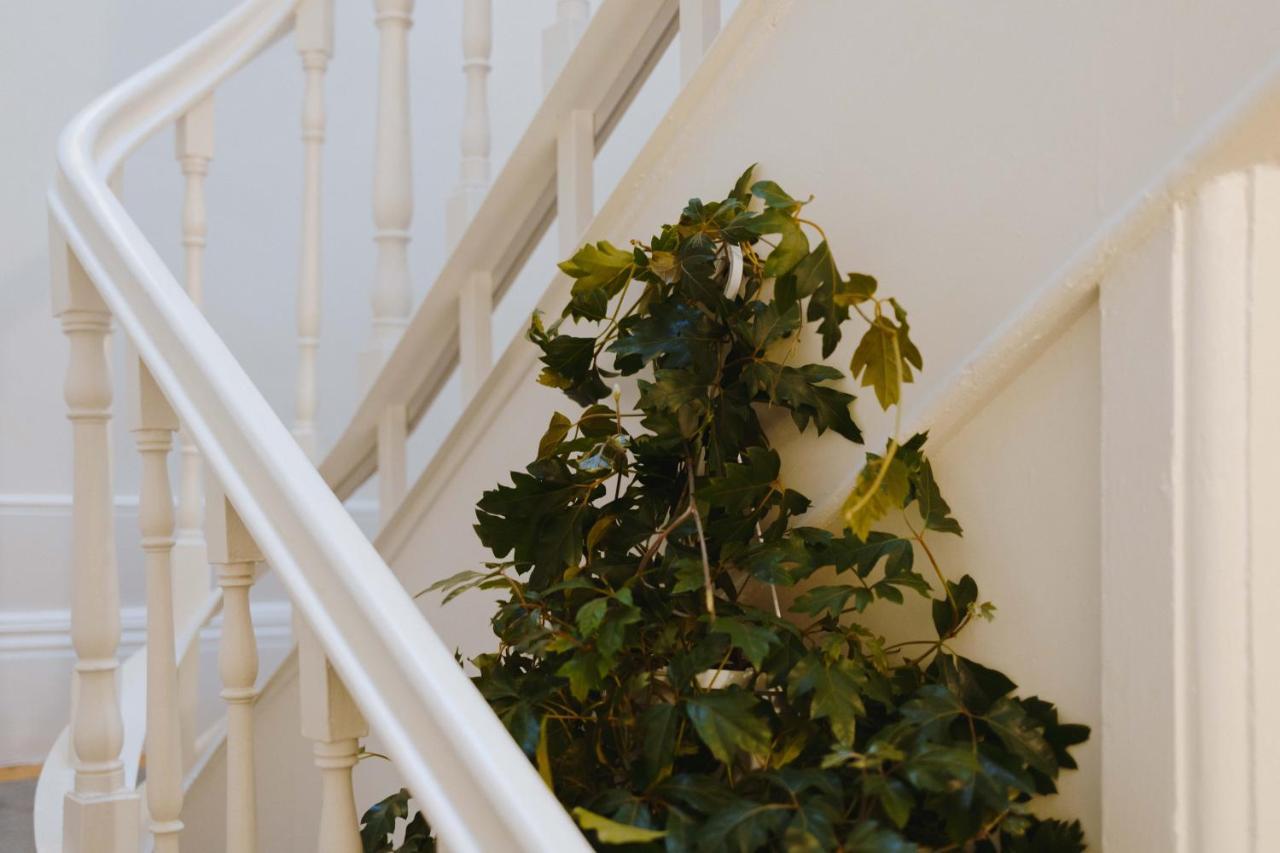 Aduquesa - Guesthouse ポルト エクステリア 写真